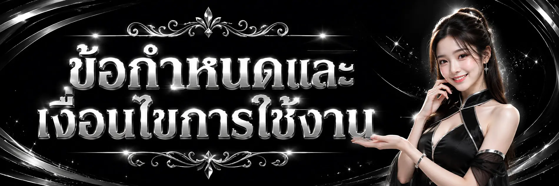 ข้อกำหนดและเงื่อนไขการใช้งาน